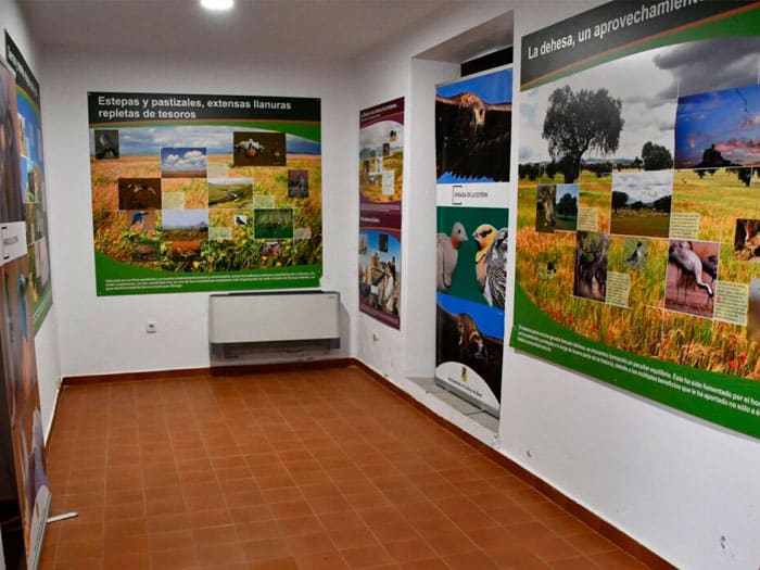 aula-de-la-naturaleza-de-cabeza-del-buey2