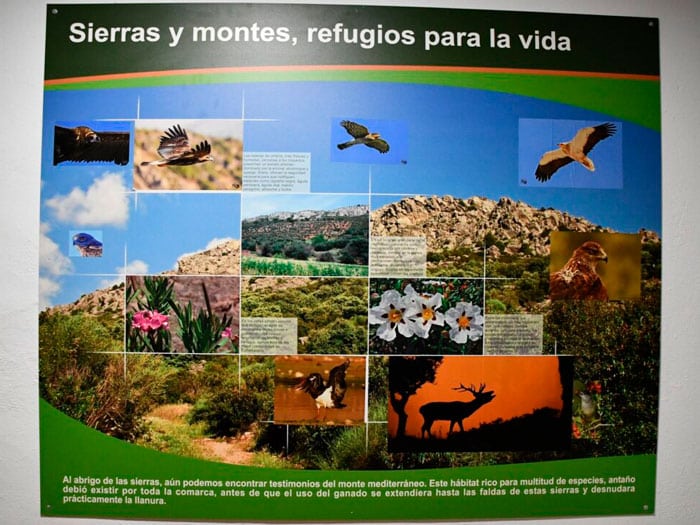 aula-de-la-naturaleza-de-cabeza-del-buey3