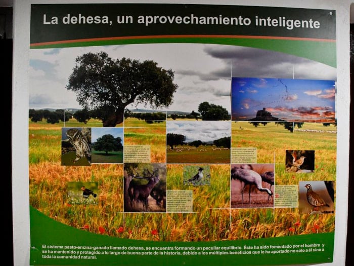 aula-de-la-naturaleza-de-cabeza-del-buey4